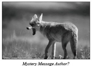 MysteryMessageAuthor