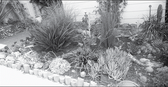 Melrose-DetroitGarden2