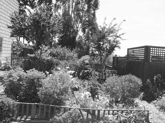 LosPalmosGarden